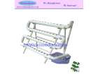 Hydroponic system (HS1)
