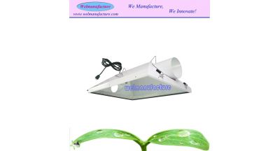 6inch flange reflector