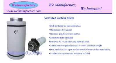 Carbon filter 6"