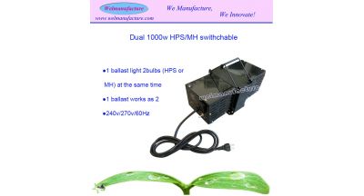 2 in 1 ballast (Dual 1000B)