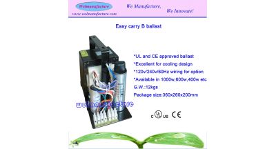 Easy carry B ballast