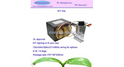 Ballast(DIY Kits)