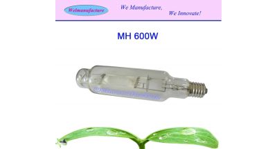 MH600w
