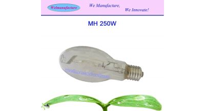 MH250w