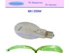MH250w